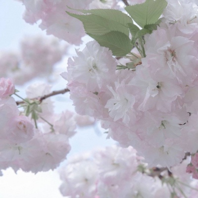 Furry色彩搭配实用技巧FurryQQ群